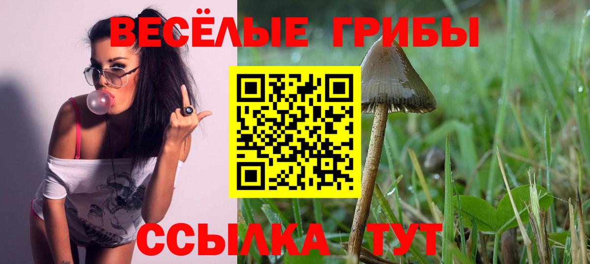 Галлюциногенные грибы прущие грибы Уссурийск